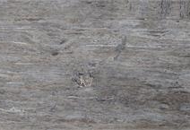 SILVER TRAVERTINE